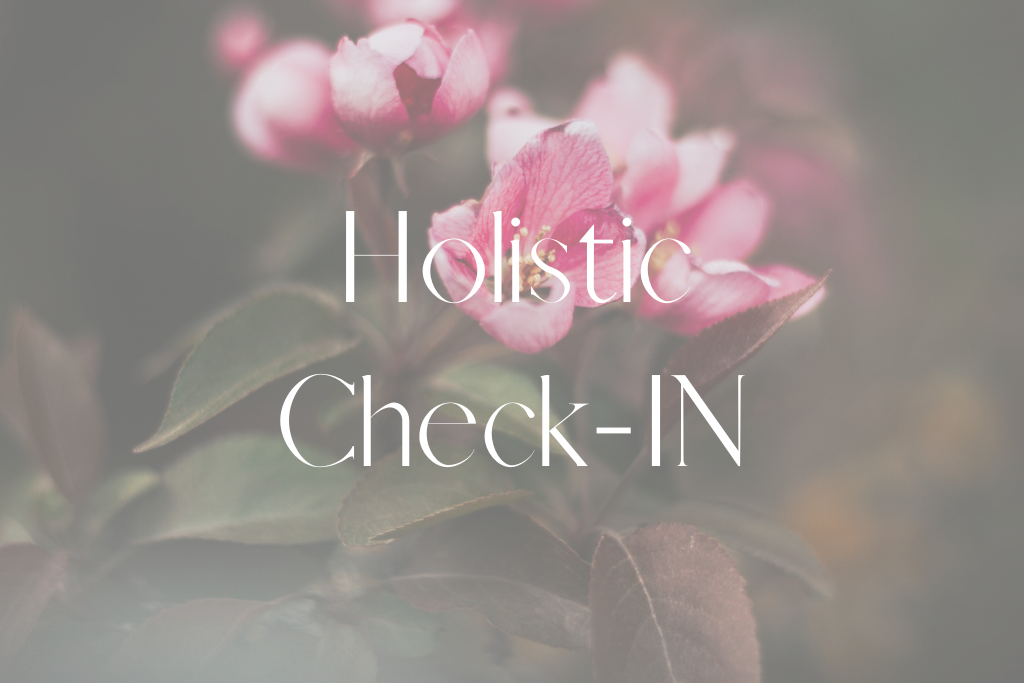 You are currently viewing Holistic Check-IN